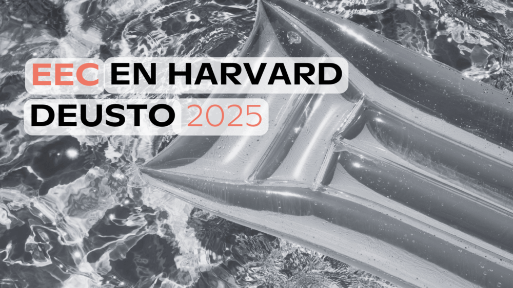 EEC reflections at Harvard Deusto